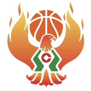 https://img.gpssz.com/img/basketball/team/09b49d34027e0409a4de3295f8c71a2d.png