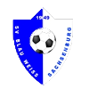 https://img.gpssz.com/img/football/team/1cde488d47b598d2eed91775e6786258.png