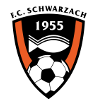 https://img.gpssz.com/img/football/team/488370880779534e48b5b2d5243fb6f6.png