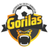 https://img.gpssz.com/img/football/team/7850d475ea8273b8fdbcede80fa20881.png